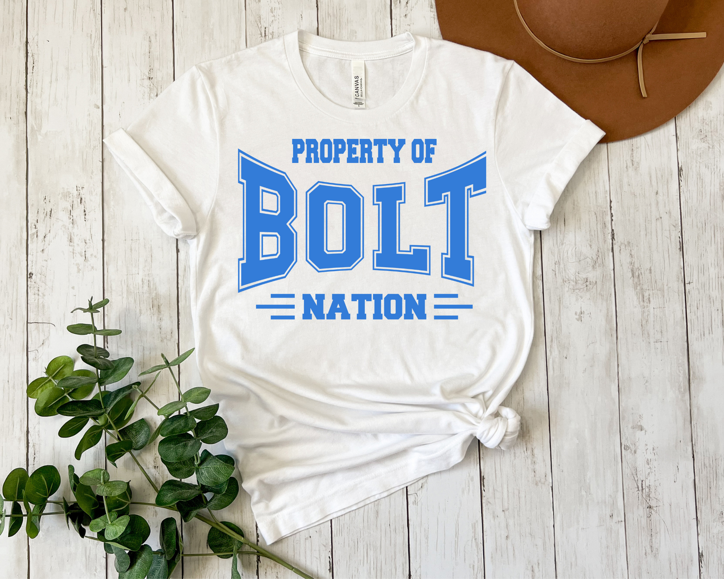 Property of Bolt Nation