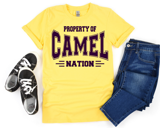 Property of Camel Nation