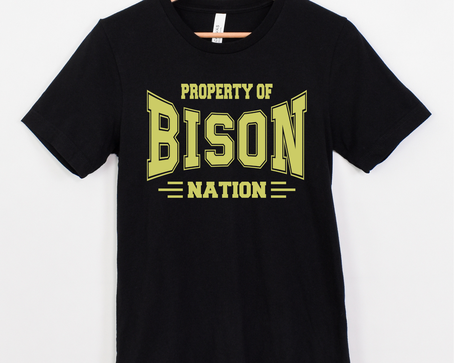 Property of Bison Nation