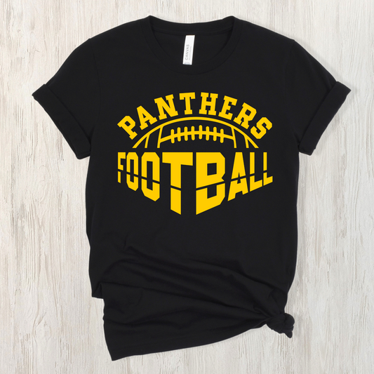 Panther Football Angle