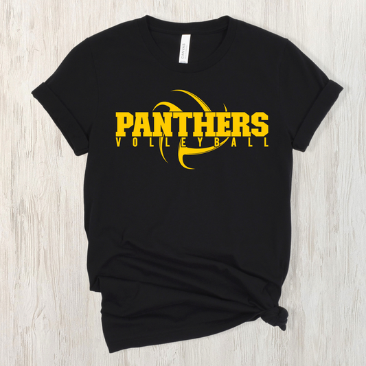 Panther Volleyball 4