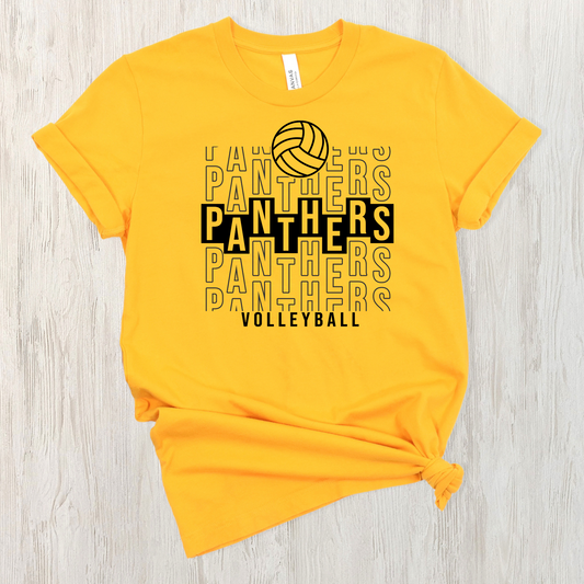 Panther Volleyball Repeater